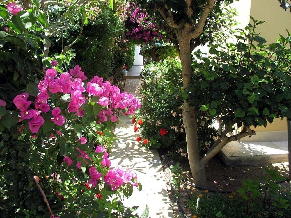Rododafni Villas Klorakas ภายนอก รูปภาพ