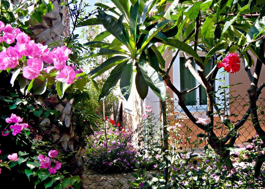 Rododafni Villas Klorakas ภายนอก รูปภาพ