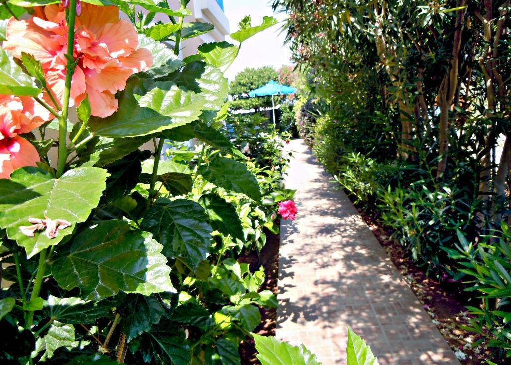 Rododafni Villas Klorakas ภายนอก รูปภาพ