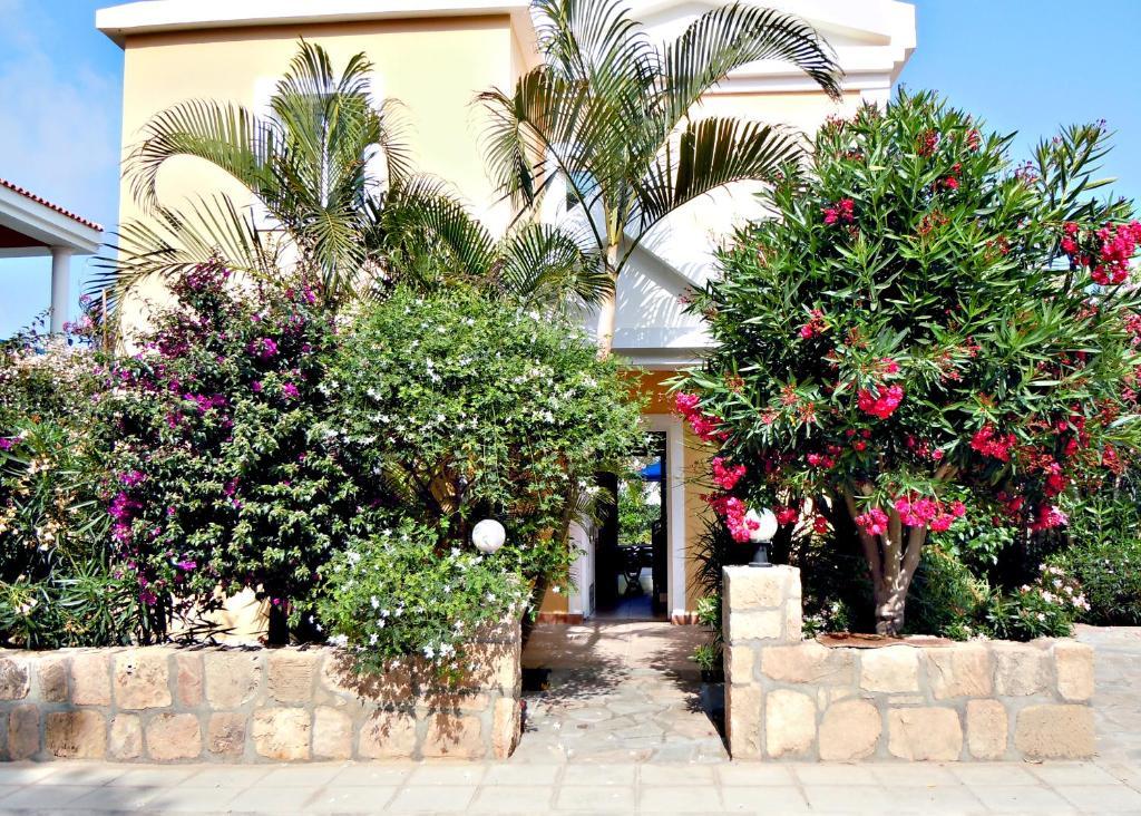 Rododafni Villas Klorakas ห้อง รูปภาพ