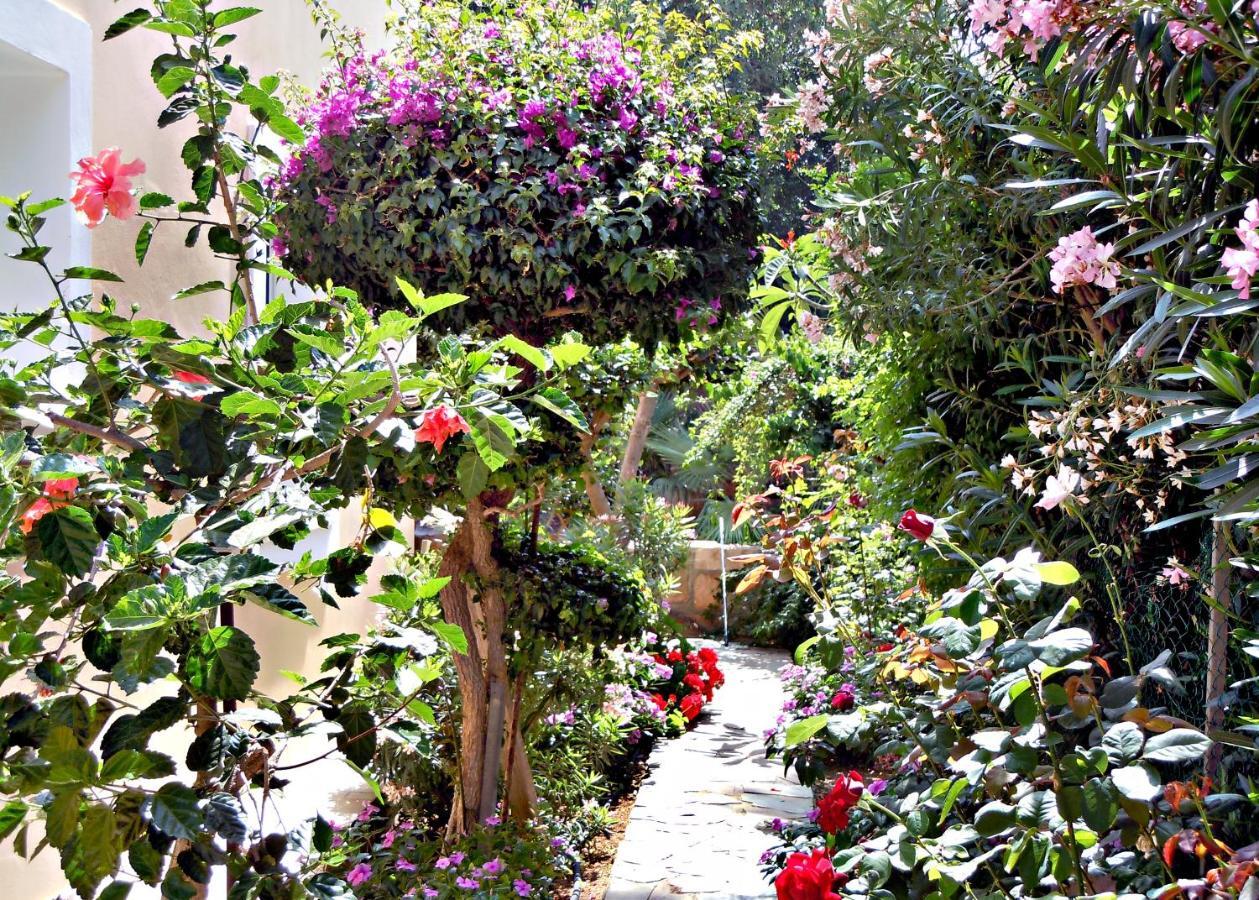 Rododafni Villas Klorakas ภายนอก รูปภาพ