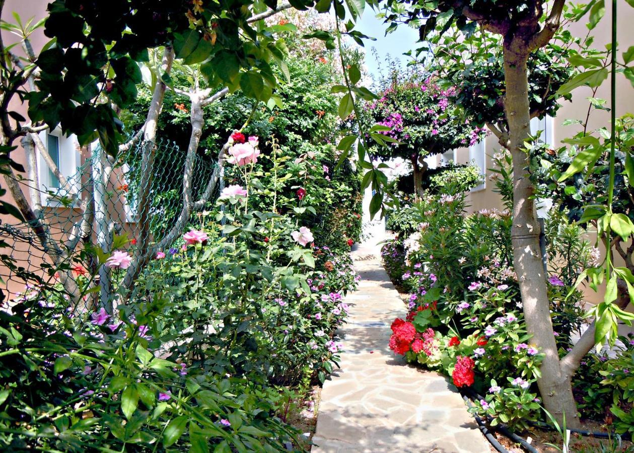 Rododafni Villas Klorakas ภายนอก รูปภาพ
